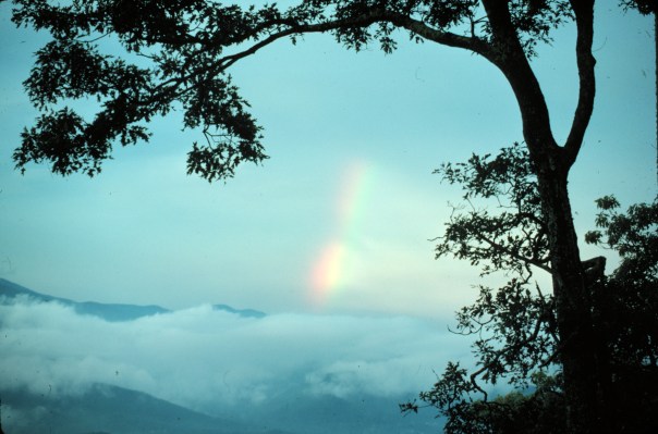 Looking for the rainbow in the rain