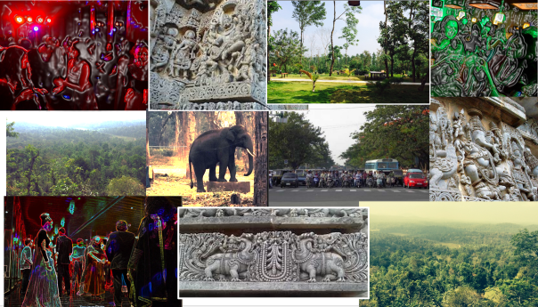 Hard to capture everything in one collage!